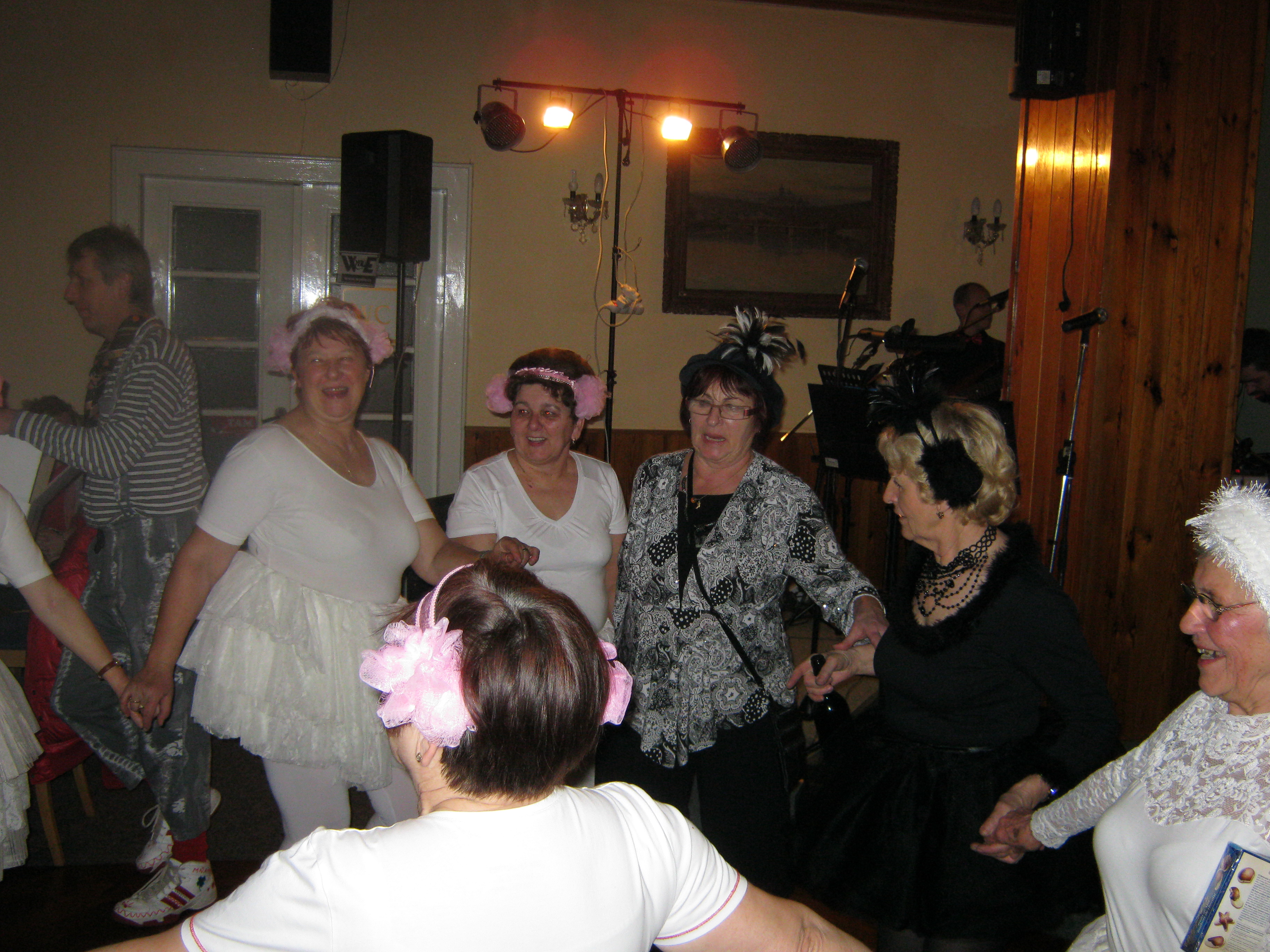 šibřinky2012 (29)